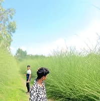 Héy Yéasín Yeasin 